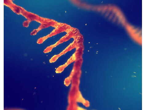 Advert_Public_Moderna_Technologies_ARNm